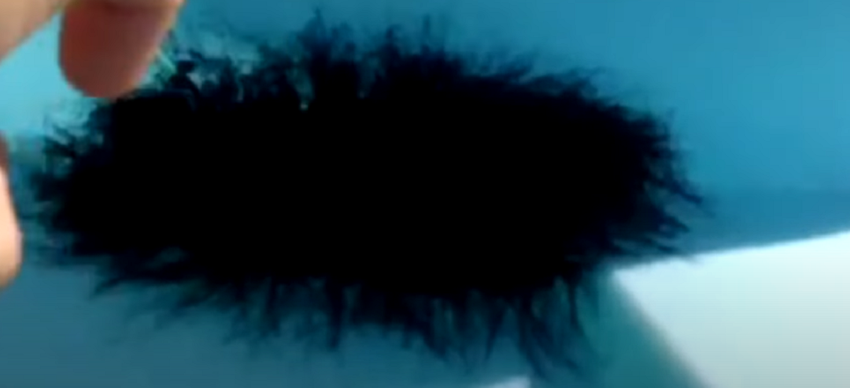 Mand finder mystisk fnugkugle: han fortryder det, så snart han rører den