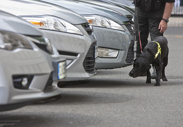 11-årig pige var meldt savnet: Så gjorde politihund denne handling