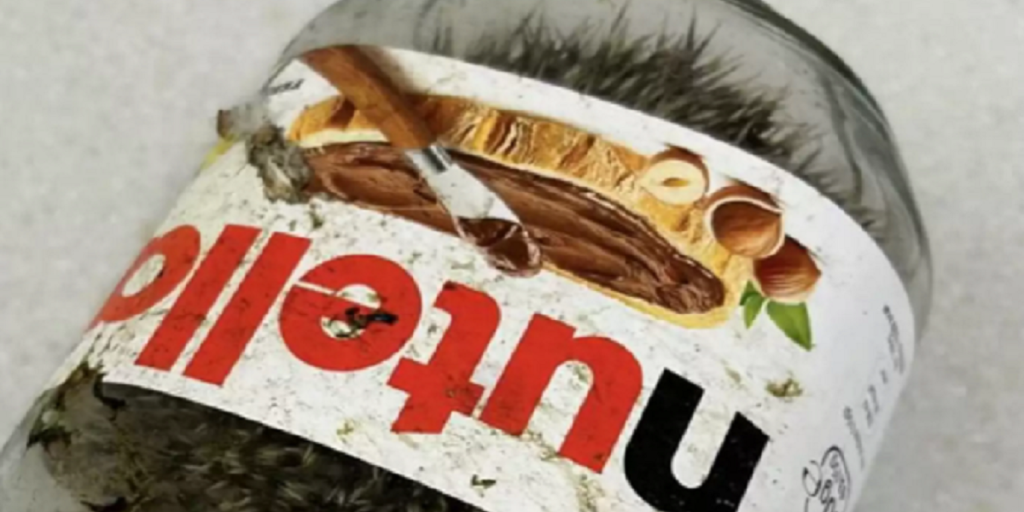 Olivia fik et chok over hvad der gemte sig i Nutella-krukke: Nu er den rørende historie gået viralt.