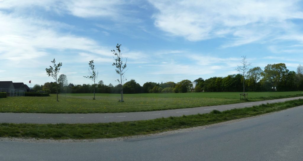 Landsby laver plads til tolv nye familier: Puster liv i kommunens små byer