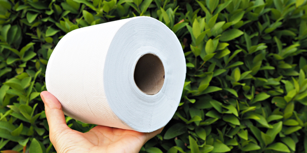Læg toiletpapir i jorden i din have – og se dine planter eksplodere i vækst