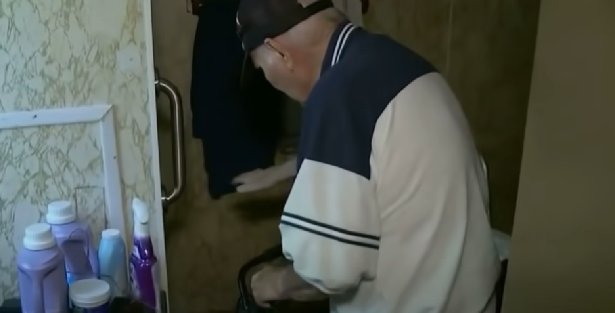 84-årig mand fik kat foræret af sin ven: Kort efter reddede den hans liv