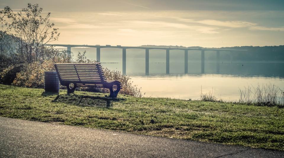 Ugens bedste billeder fra Facebook Vejle