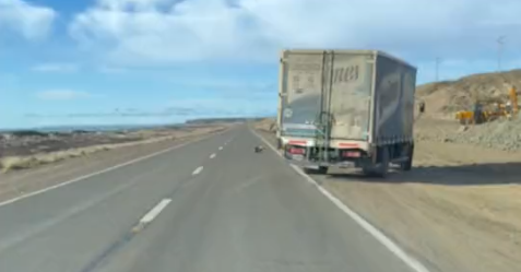 Lastbil drejer pludselig skarpt til højre på motorvejen: Årsagen får det til at løbe koldt ned ad ryggen