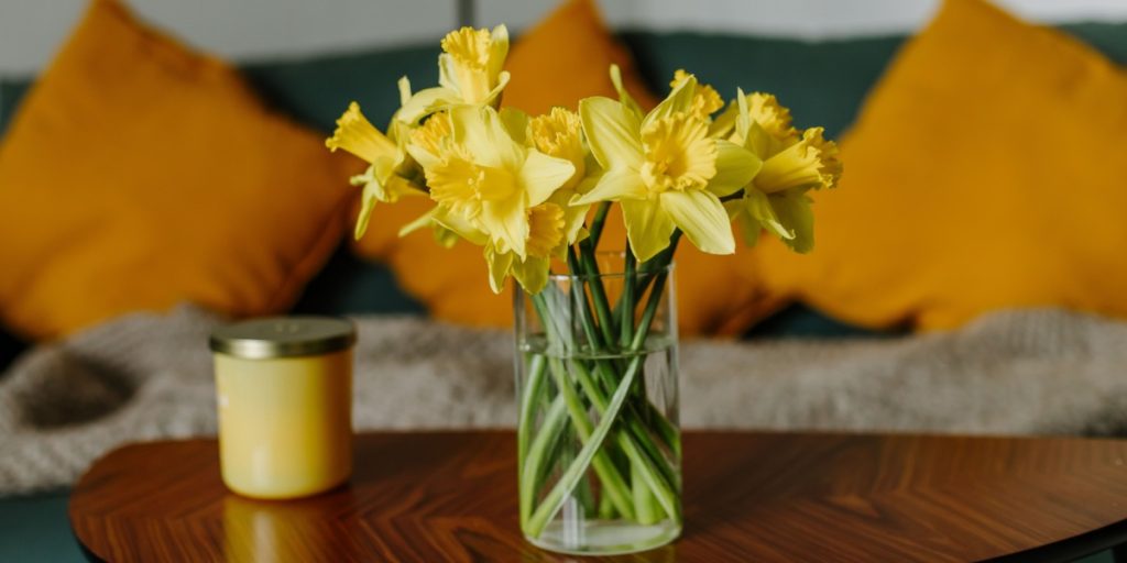 Er dine påskeliljer allerede ved at dø? Blomsterhandleren deler sine bedste tips til at holde dem i live