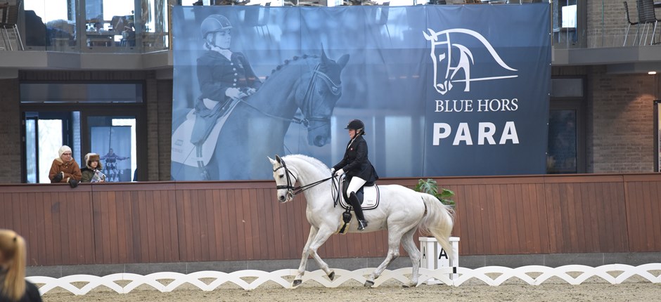 Parasport: Internationalt dressurstævne afholdes i Vejle Kommune