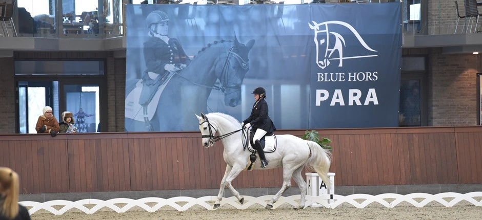 Parasport: Internationalt dressurstævne afholdes i Vejle Kommune