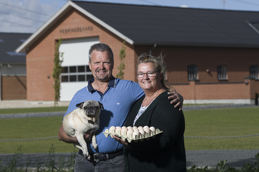 Folkefest på landet: Kom helt tæt på dyrene