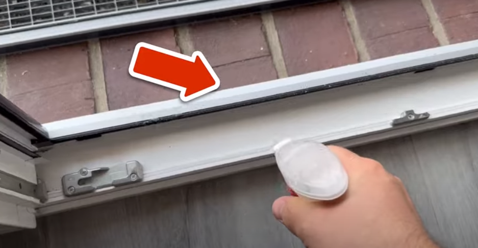 Hvis du hader edderkopper, skal du kende dette trick: Sådan sikrer du hjem mod de upopulære insekter