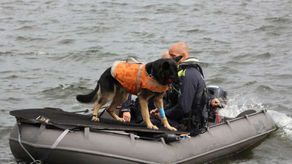 20-årig student er stadig forsvundet: Nu melder politiet ud