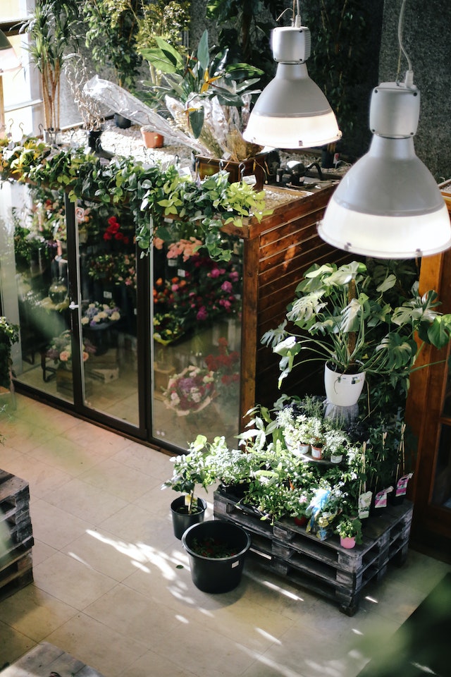 Få din have til at blomstre i sommer: Tips til at gøre din have sommerklar