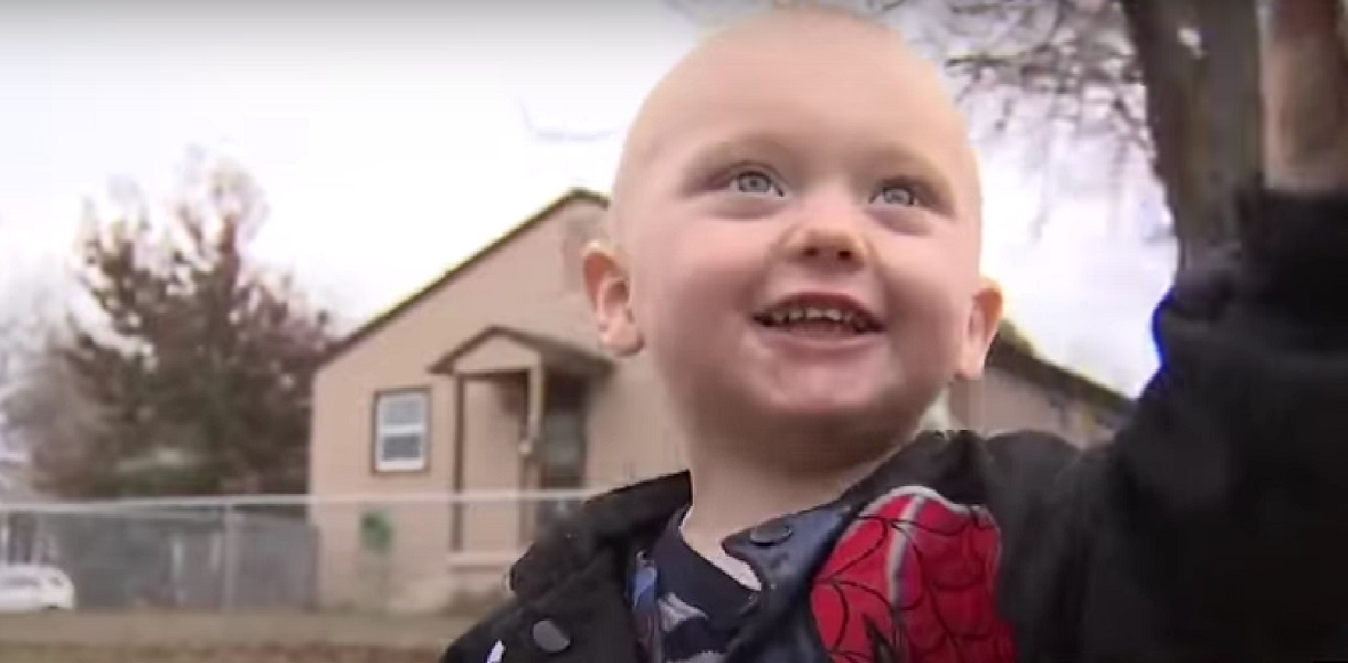 2-årig dreng får et epileptisk anfald: Så gør familiens Pitbull noget uventet