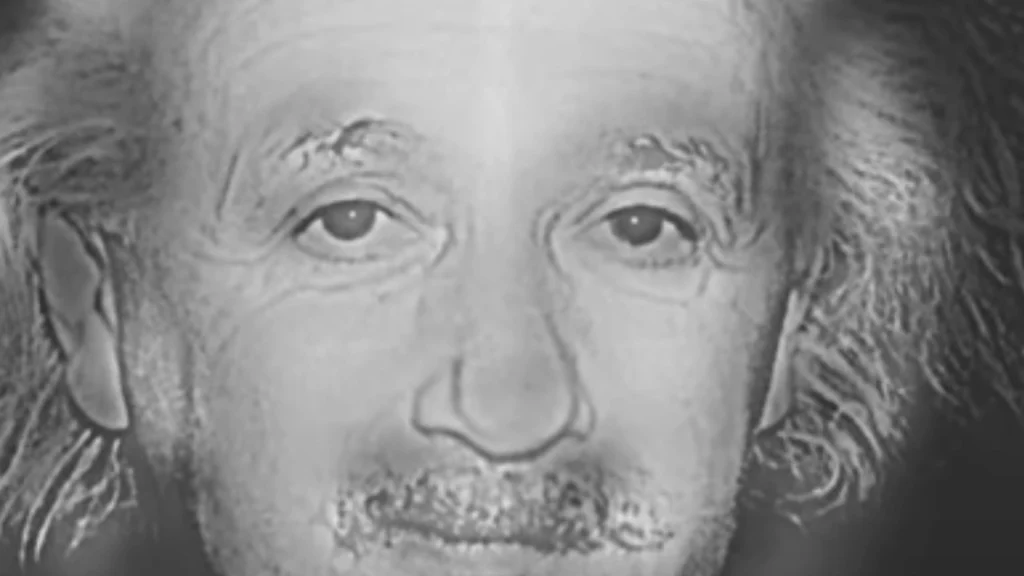 Ser du Albert Einstein eller Marilyn Monroe? Dit svar har stor betydning for dig