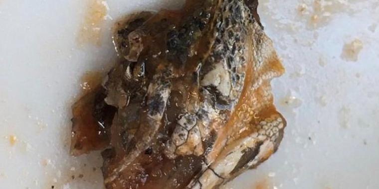 Datter gør klamt fund i pastasauce fra Lidl