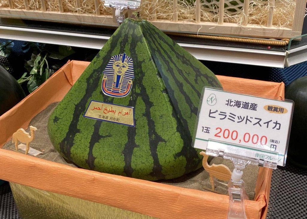 Har du set den? Japans pyramide-melon er ikke billig