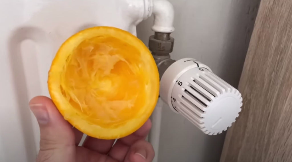 Han laver appelsin-tricket, som alle radiatorejere bør kende: Så sker magien, der får dig til at gøre det samme