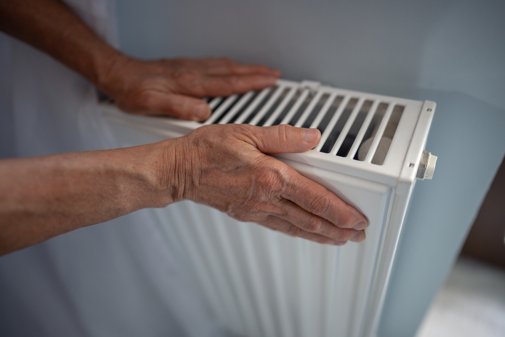 Derfor placerer mange dette krydderi på radiatoren – resultatet er imponerende