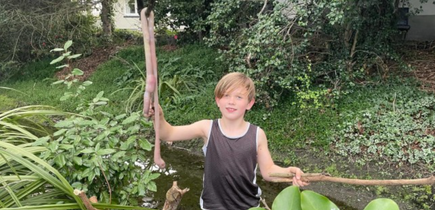 9-årig finder vildt væsen i haven: Du gætter aldrig hvad det er