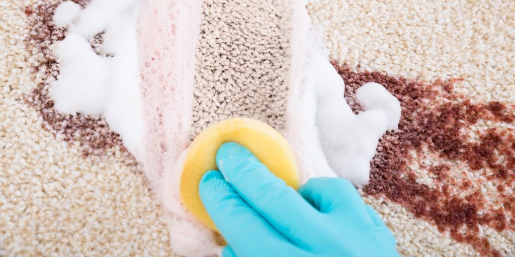 Ekspert afslører: Sådan fjerner du lugt og pletter fra gulvtæppet for 15 kroner