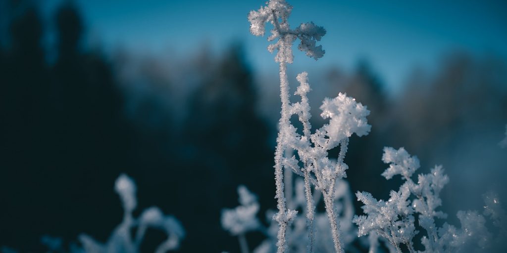 Sådan kan du udnytte vinterens frost til rengøring i hjemmet