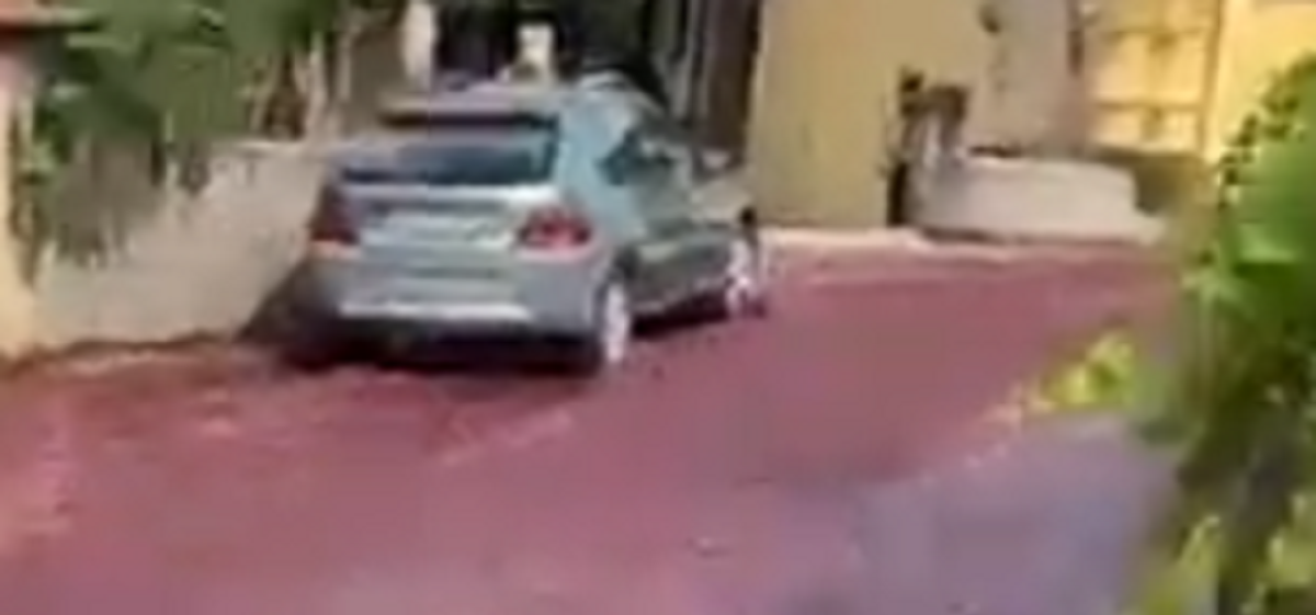 Se videoen: Provinsby sejler i rødvin – bogstavelig talt