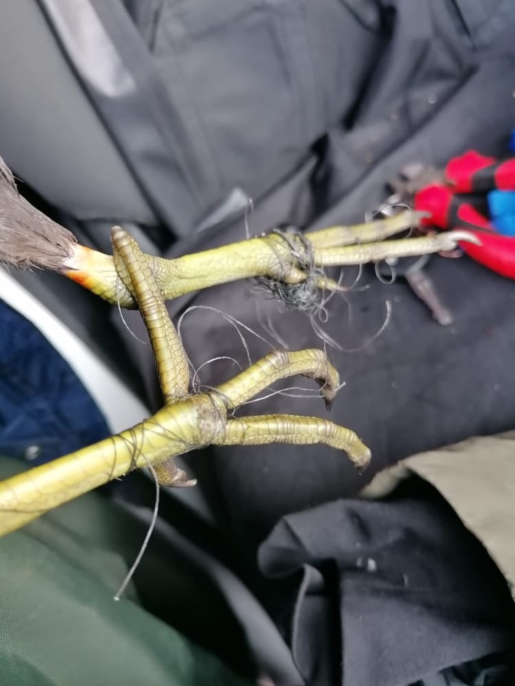 I nød i dansk park: ‘Tag dit affald med dig’