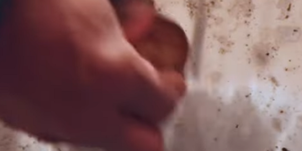 Stort set alle danskere har det i køleskabet: Denne madvare kan gøre kål på rust for evigt