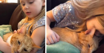 4-årig synger afskedssang til døende kat: Nu er det hjerteskærende farvel gået viralt