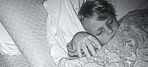 Familiehund spottede detalje, der reddede drengs liv