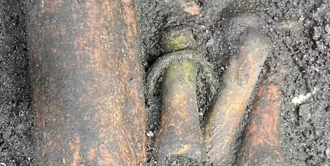 Bekræfter chokfund: Har fundet 30 skeletter af mennesker under Aalborg