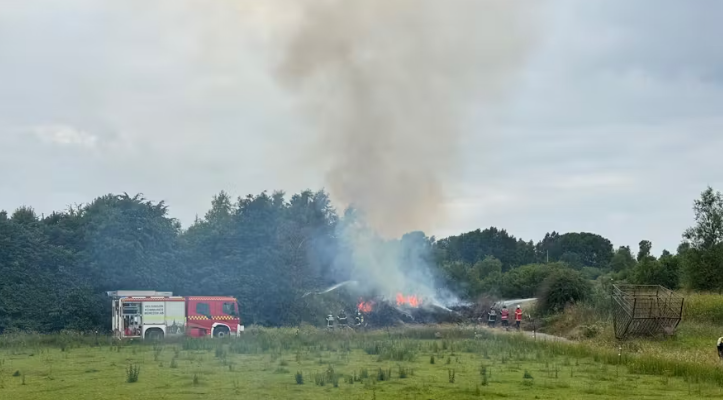 Har du set noget? Lokalpolitiet mistænker, at en pyroman er på spil.