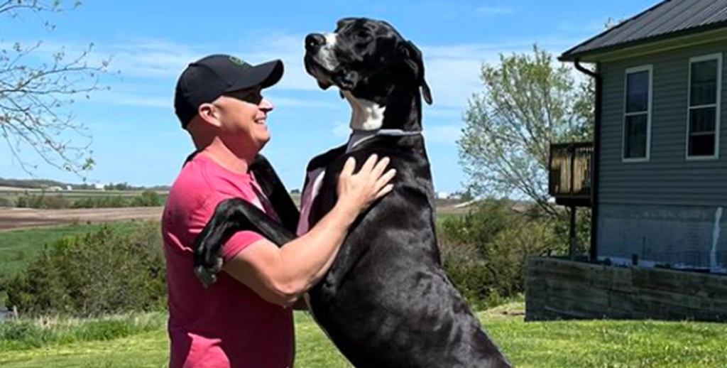 Hunden Kevin blev kåret som verdens højeste hund, men dør to dage efter