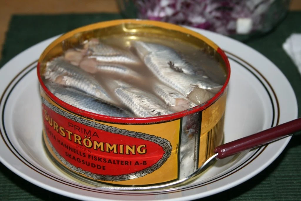 Verdens mest ildelugtende delikatesse er truet: Det kan blive slutningen for traditionel svensk fiskeret