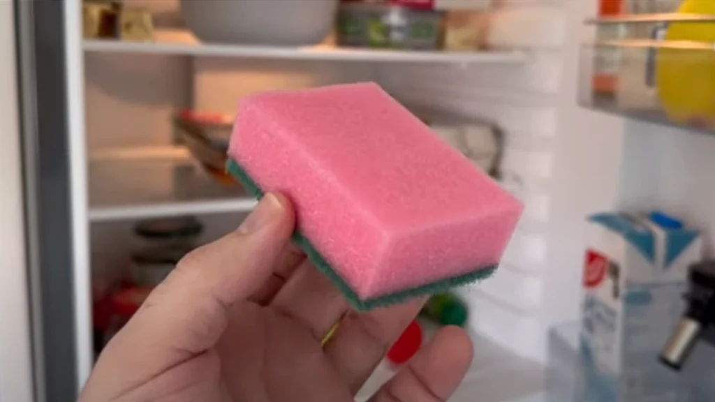 Meget få ved det: Dette betyder farven på din køkkensvamp