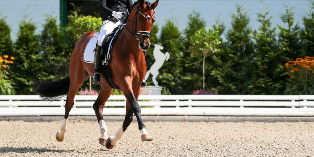 Efter afsløring i Operation X: Helgstrand Dressage indfører nye tiltag