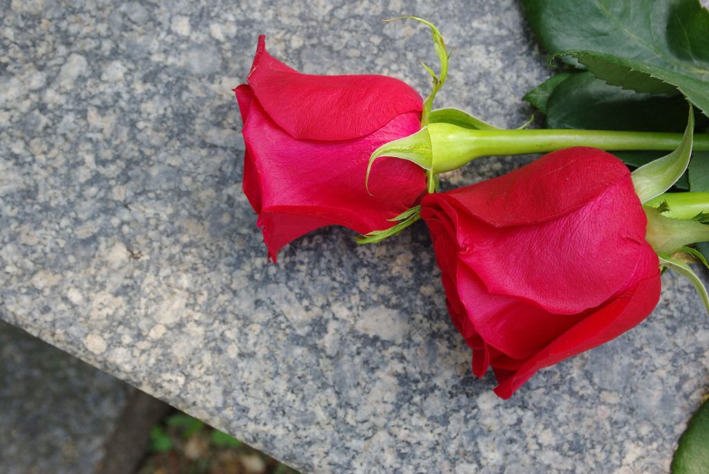 Verdensstjerne blev fejlagtigt erklæret død i sidste uge: Nu er der tragisk nyt