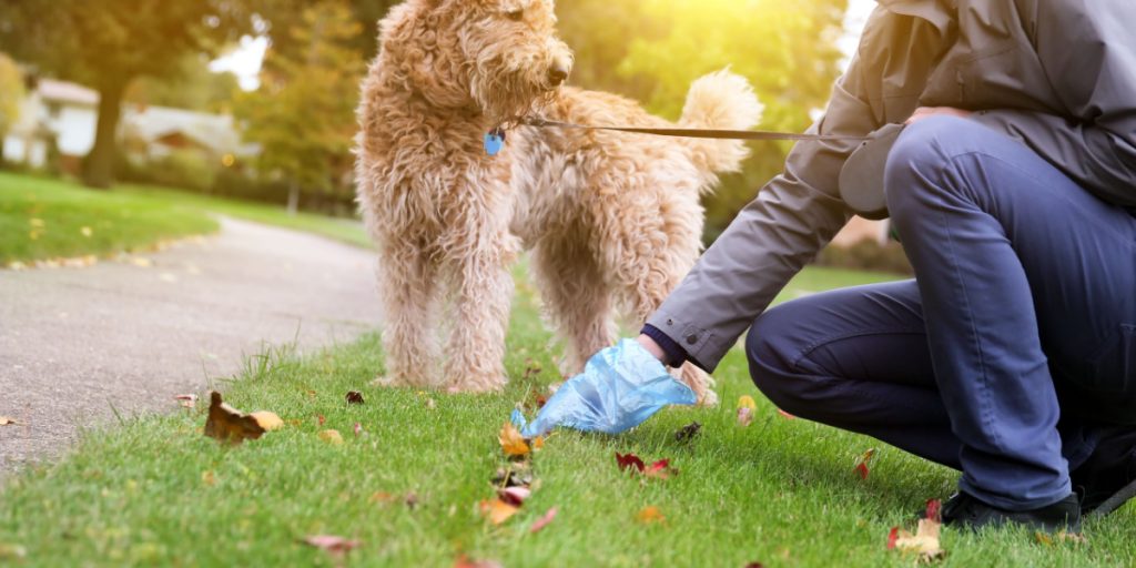 Kvinde modtager bøde for ikke at samle op efter sin hund: Men det er ikke det, der chokerer hende