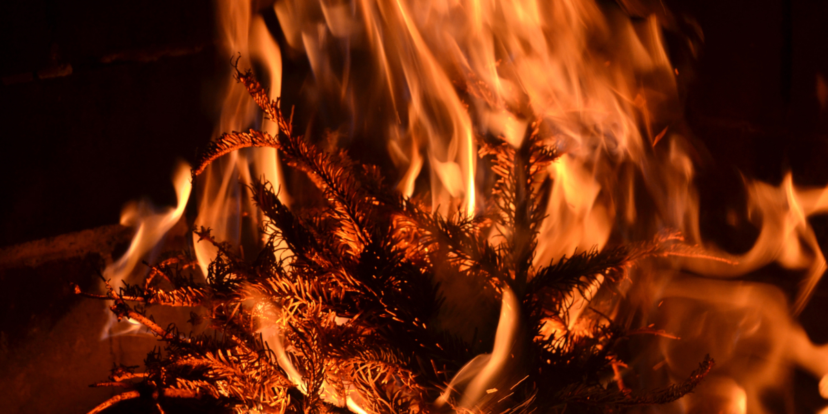 Stikker ild til kirkens juletræ