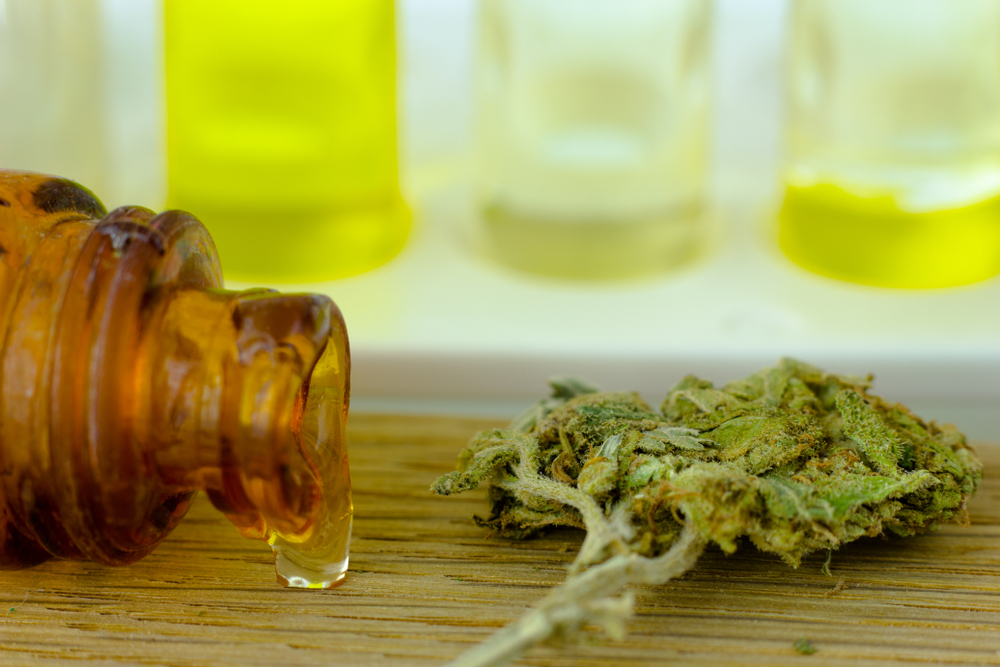 Medicinsk cannabis giver glæden tilbage