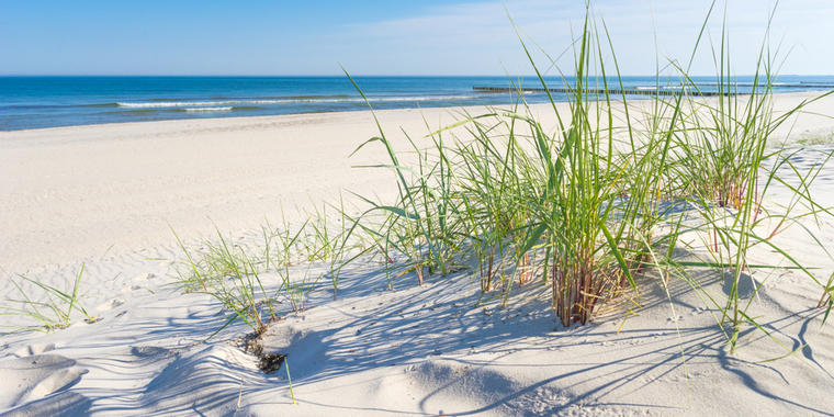 Lå og nød solen: Fik kørt arm og ben over