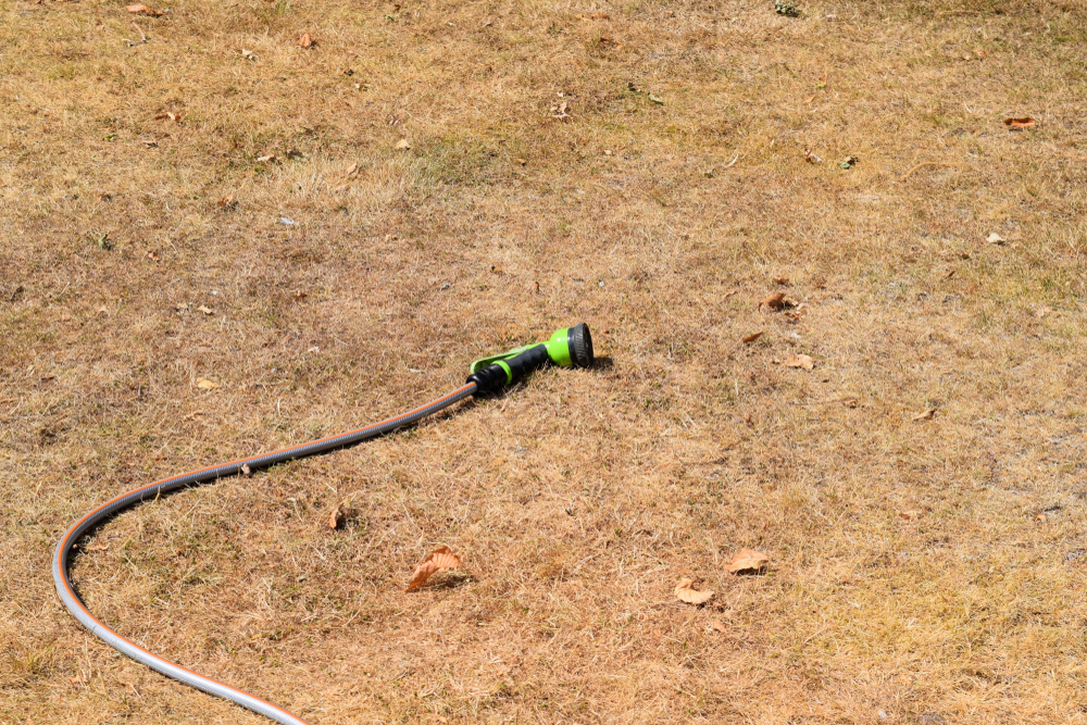 Vandværker slår alarm: Dette skal du forberede dig på