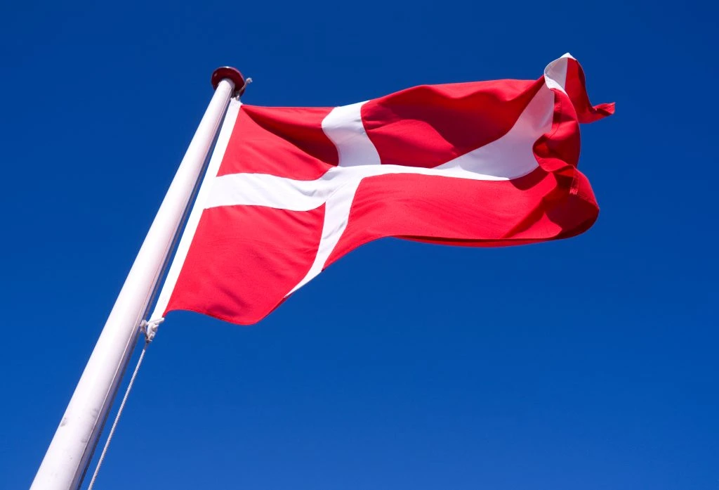 “Dannebrog er tillidssamfundet, Dannebrog er stolthed”: Danske unge sætter ord på flagets betydning