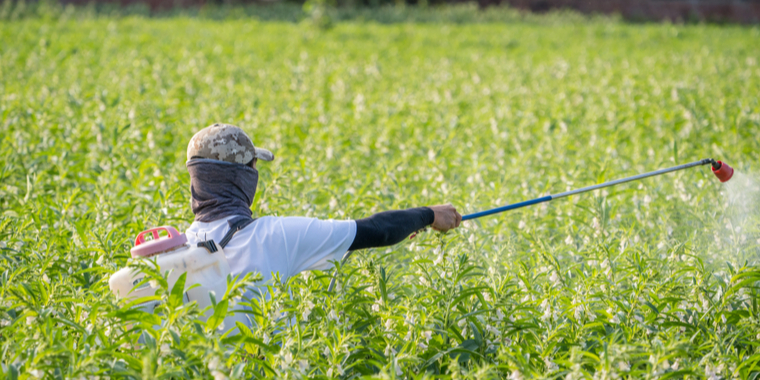 Frokostfavorit med pesticidrester tilbagekaldes øjeblikkeligt