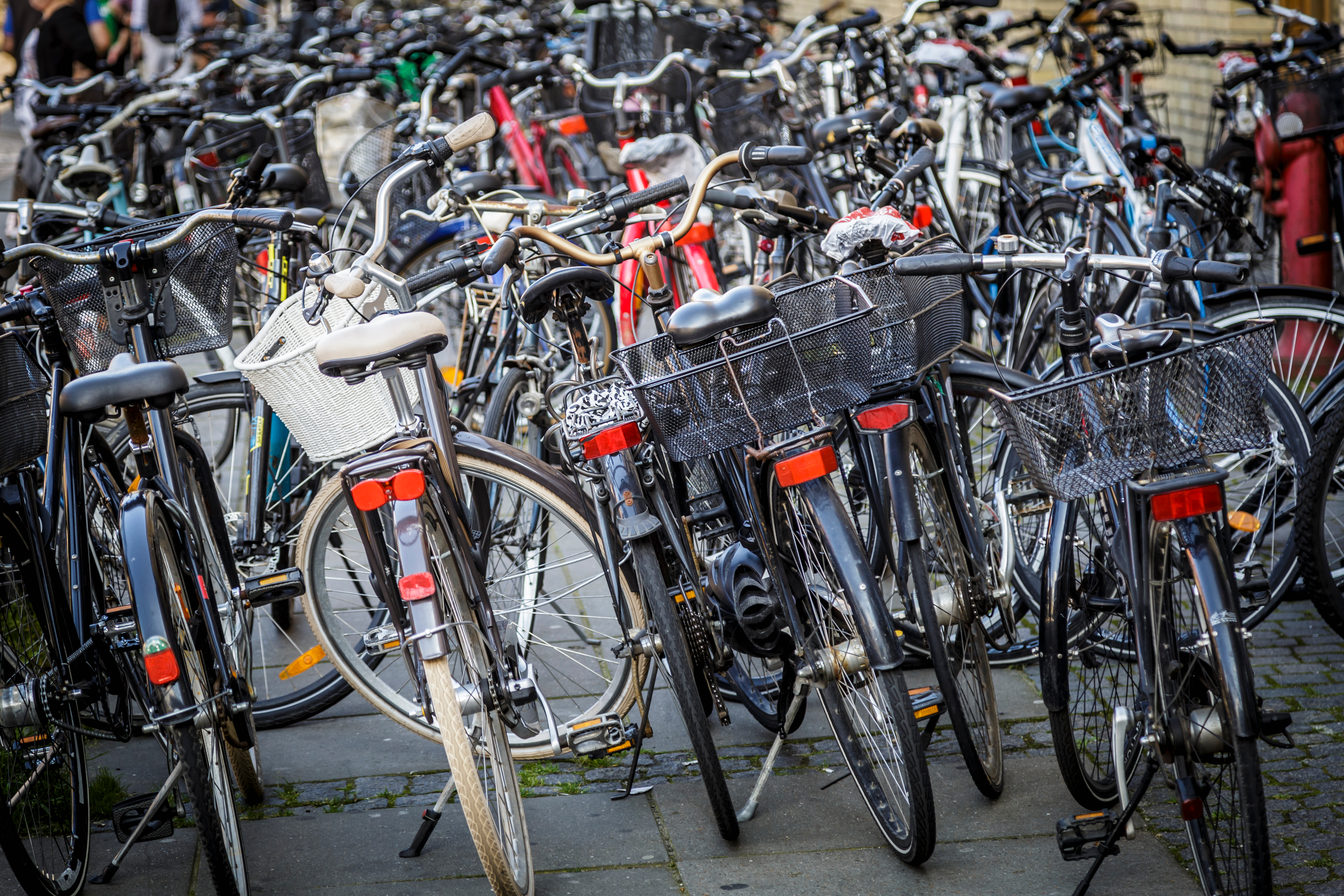 Mod ensretningen, uden lys og med veninden bagpå: 100 cyklister sigtet på få timer