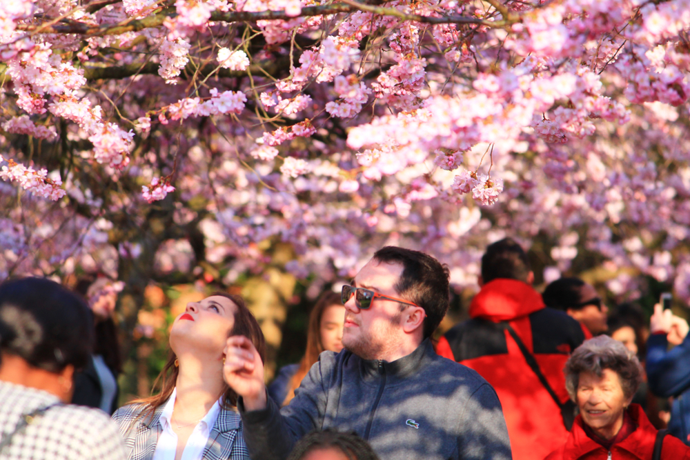 Nu er det tid: Turister fra hele verden flokkes mod denne danske attraktion
