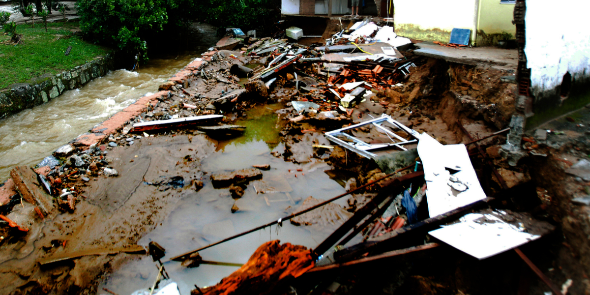 Efter frygtelig katastrofe: Hund fundet i murbrokkerne