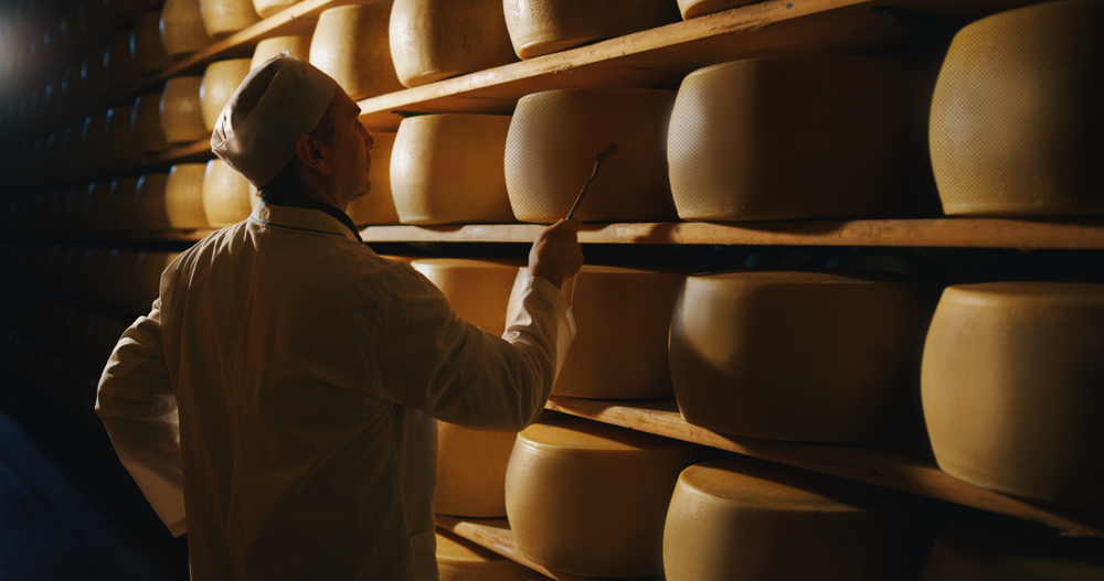 De var lidt bedre end andre gode oste: Nu lukker Danmarks ældste mejeri