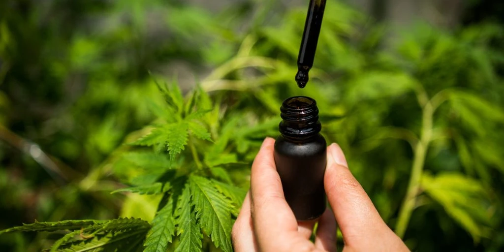 Flere tidligere kræftpatienter anbefaler CBD olie