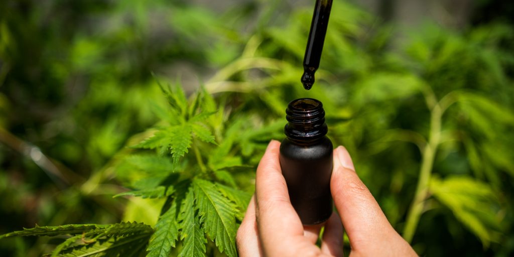 Forklaret: Forskellen mellem Hampolie & Cannabisolie