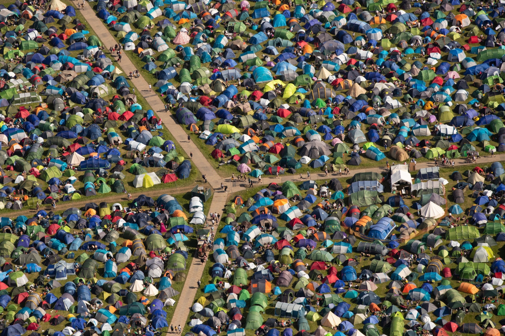 Festival kan blive lukket ned: Derfor må man ikke tisse på jorden